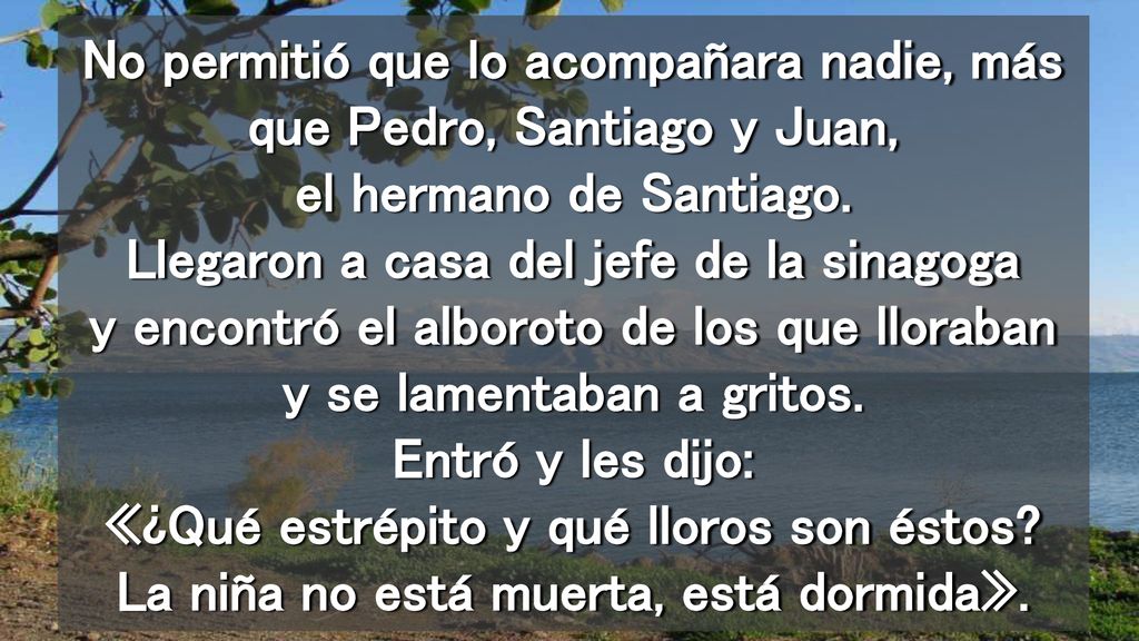 No permitió que lo acompañara nadie, más que Pedro, Santiago y Juan, el hermano de Santiago.