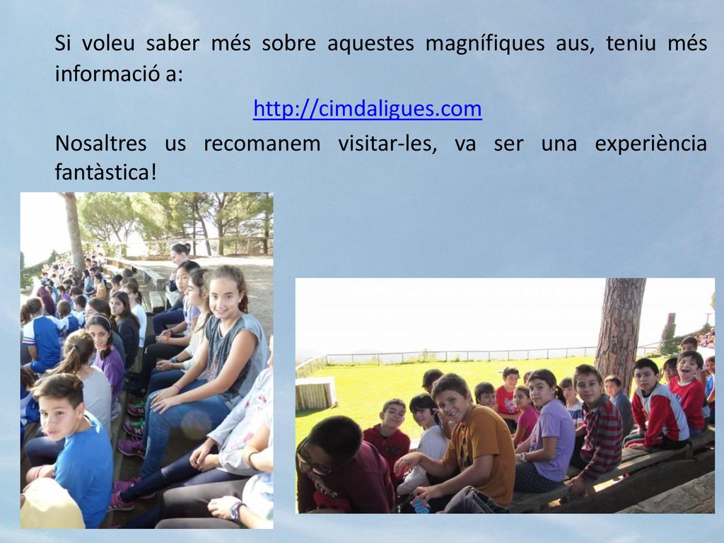 Si voleu saber més sobre aquestes magnífiques aus, teniu més informació a: