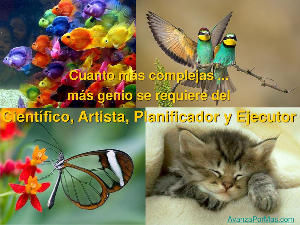 más genio se requiere del Científico, Artista, Planificador y Ejecutor