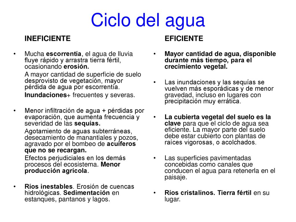 Ciclo del agua INEFICIENTE. Mucha escorrentía, el agua de lluvia fluye rápido y arrastra tierra fértil, ocasionando erosión.