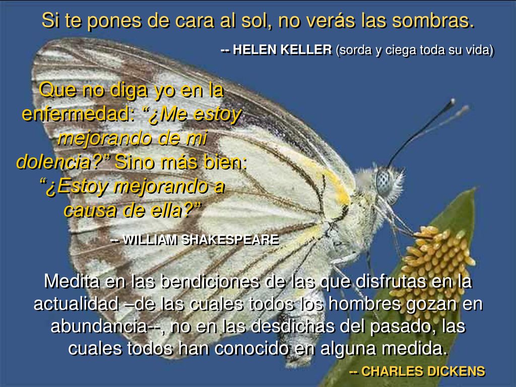 Si te pones de cara al sol, no verás las sombras.