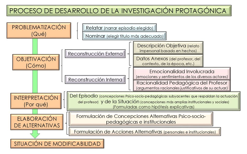 PROCESO DE DESARROLLO DE LA INVESTIGACIÓN PROTAGÓNICA