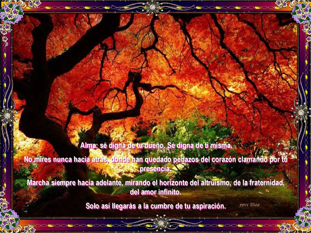 Alma: sé dígna de tu dueño. Sé dígna de ti misma.
