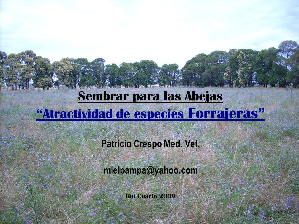 Sembrar para las Abejas Atractividad de especies Forrajeras Patricio Crespo Med. Vet.