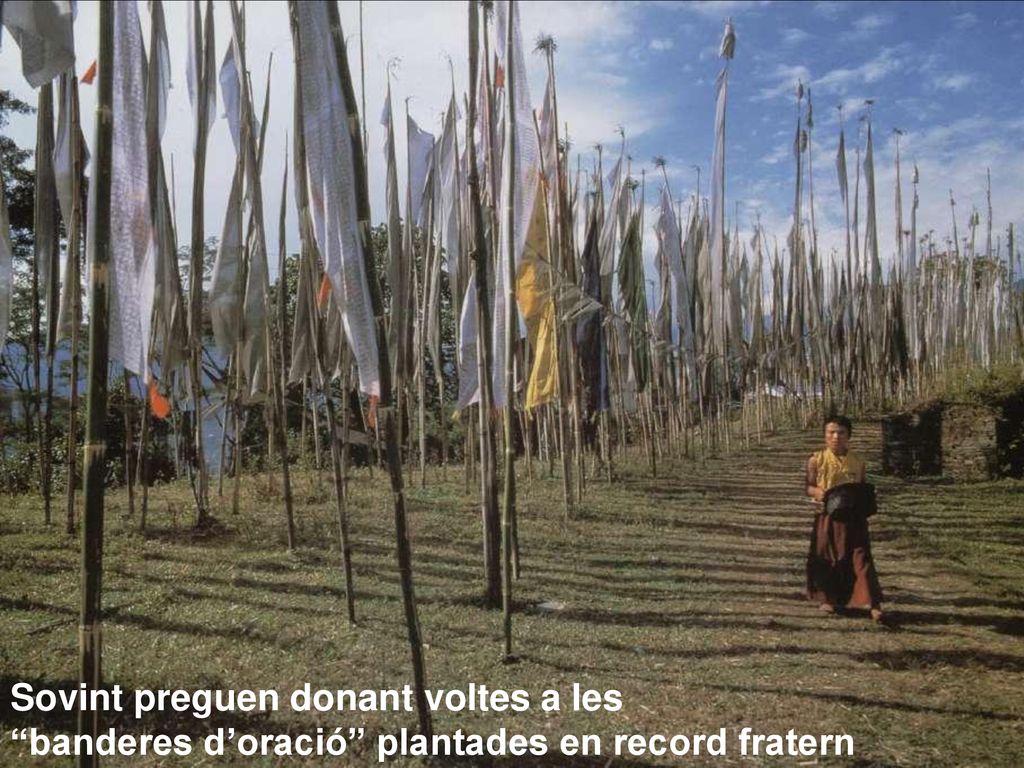 Sovint preguen donant voltes a les banderes d’oració plantades en record fratern