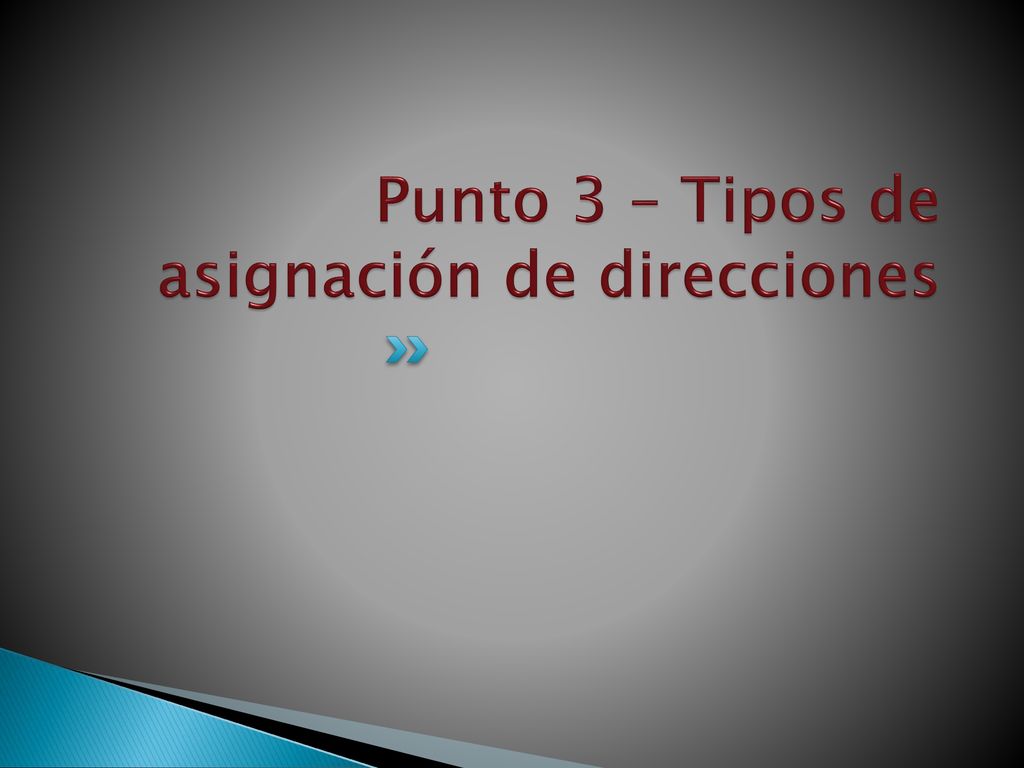 Punto 3 – Tipos de asignación de direcciones
