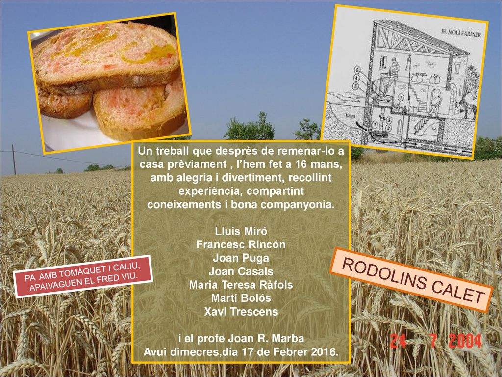 coneixements i bona companyonia. Avui dimecres,dia 17 de Febrer 2016.