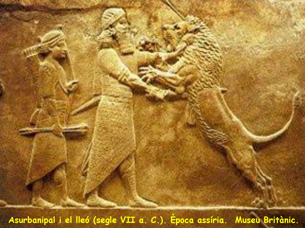 Asurbanipal i el lleó (segle VII a. C.). Època assíria. Museu Britànic.