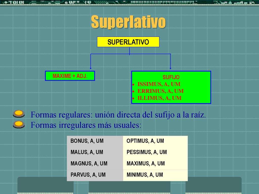 Superlativo Formas regulares: unión directa del sufijo a la raíz.