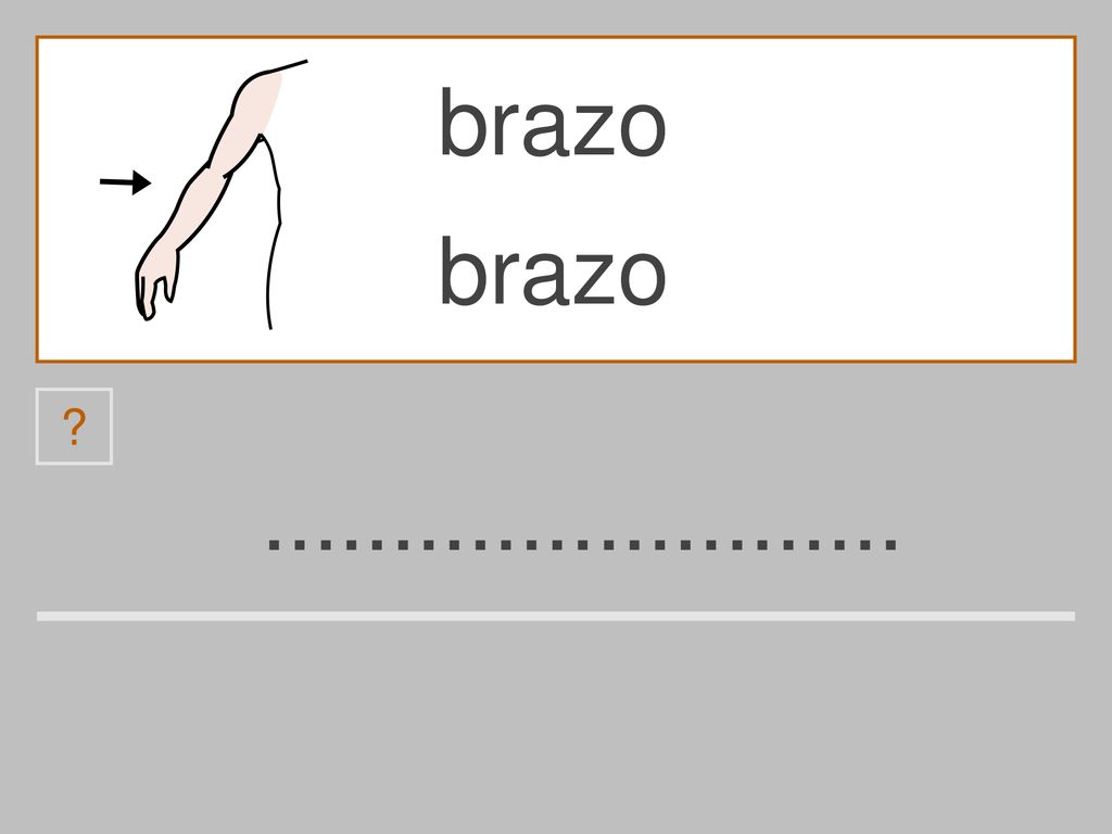 brazo brazo d a s z r o u b