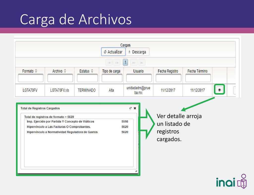 Carga de Archivos Ver detalle arroja un listado de registros cargados.