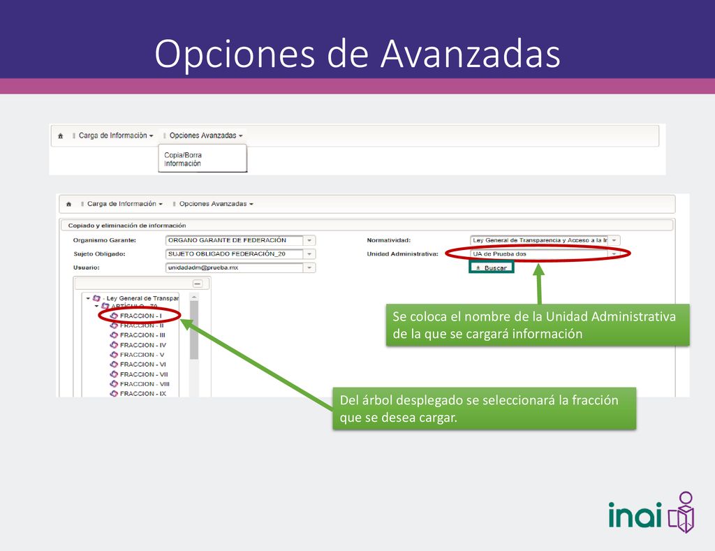 Opciones de Avanzadas Se coloca el nombre de la Unidad Administrativa de la que se cargará información.