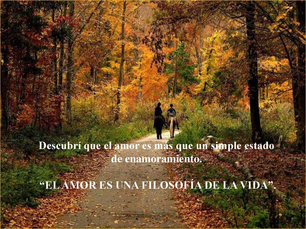 Descubrí que el amor es más que un simple estado de enamoramiento