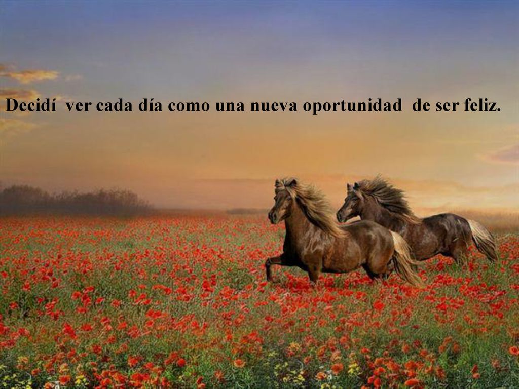 Decidí ver cada día como una nueva oportunidad de ser feliz.