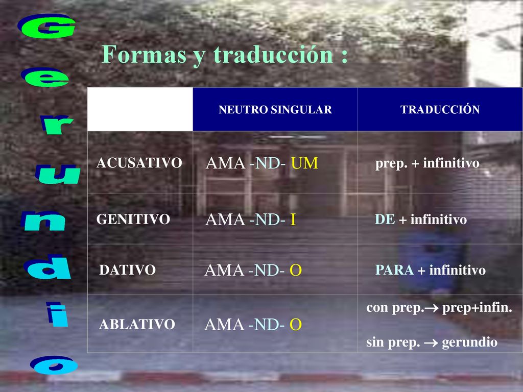 Formas y traducción : Gerundio AMA -ND- I ACUSATIVO AMA -ND- UM