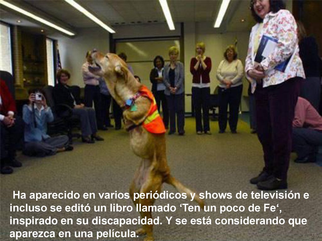Ha aparecido en varios periódicos y shows de televisión e incluso se editó un libro llamado ‘Ten un poco de Fe‘, inspirado en su discapacidad. Y se está considerando que aparezca en una película.