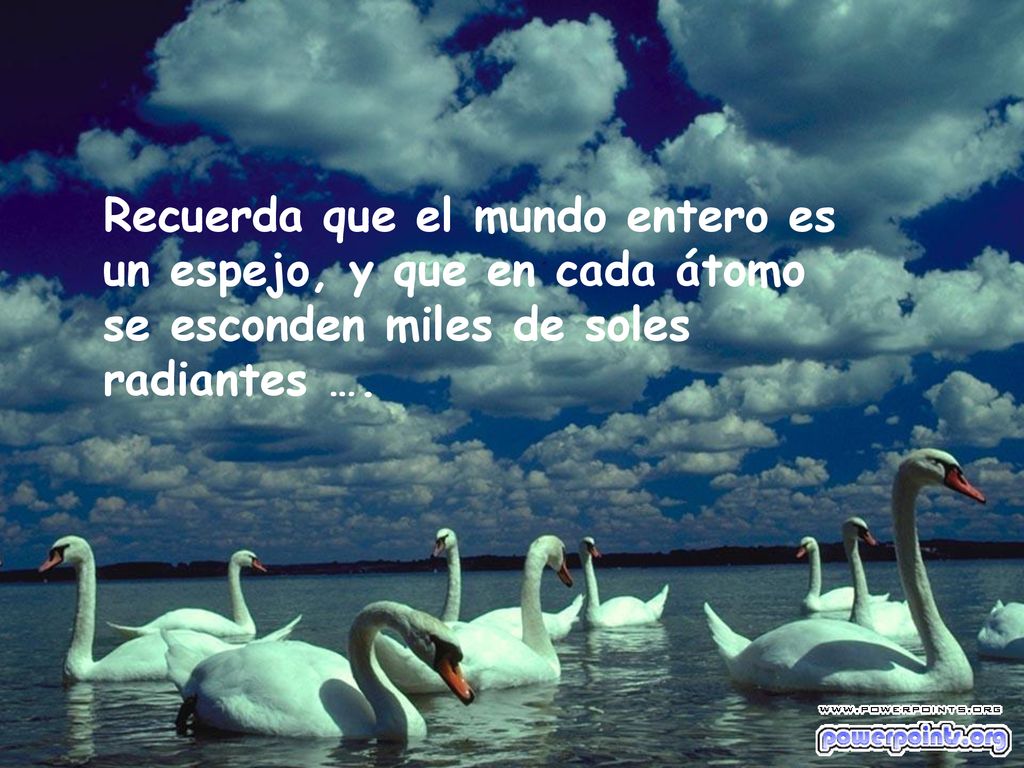 Recuerda que el mundo entero es un espejo, y que en cada átomo se esconden miles de soles radiantes ….