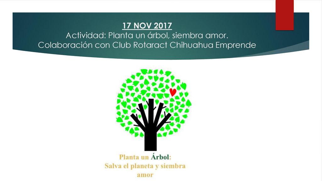 17 NOV 2017 Actividad: Planta un árbol, siembra amor