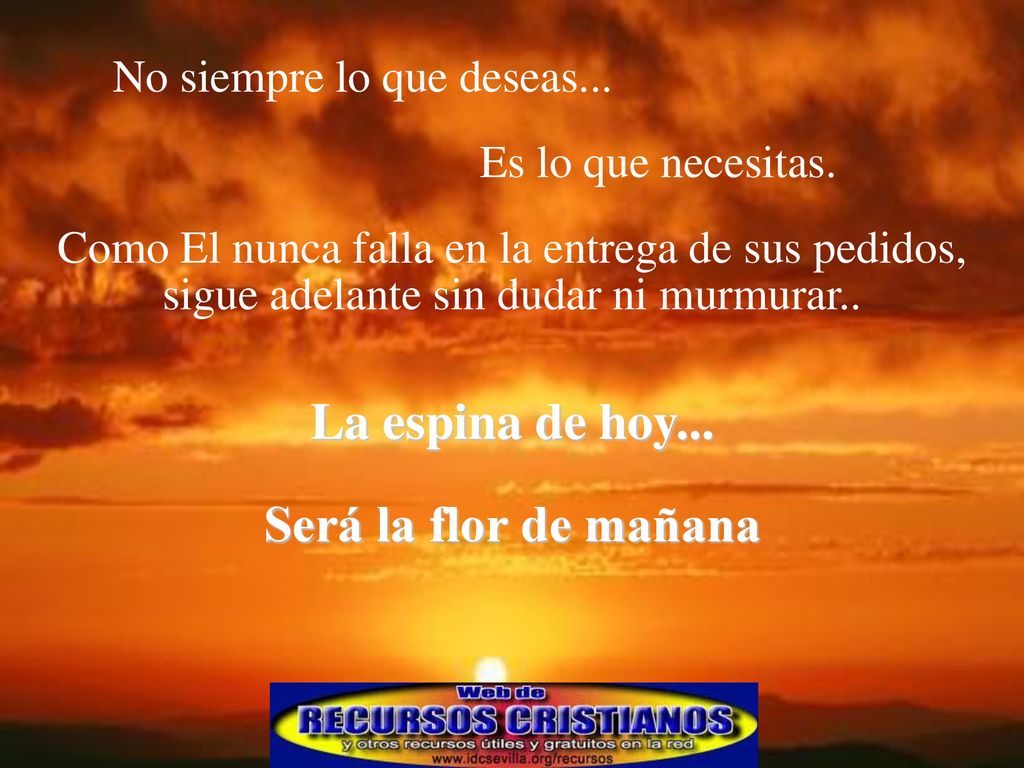 La espina de hoy... Será la flor de mañana