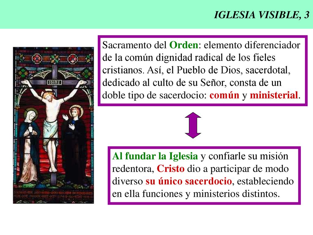 IGLESIA VISIBLE, 3 Sacramento del Orden: elemento diferenciador. de la común dignidad radical de los fieles.