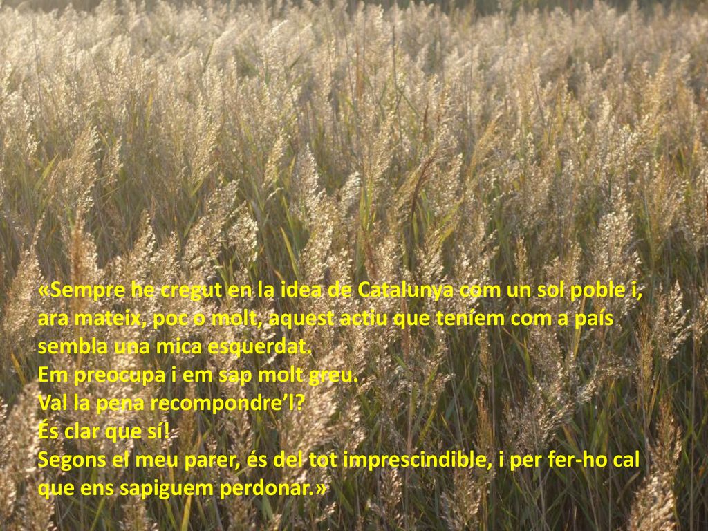 «Sempre he cregut en la idea de Catalunya com un sol poble i, ara mateix, poc o molt, aquest actiu que teníem com a país sembla una mica esquerdat.