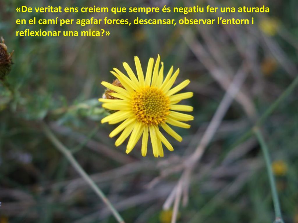 «De veritat ens creiem que sempre és negatiu fer una aturada en el camí per agafar forces, descansar, observar l’entorn i reflexionar una mica »