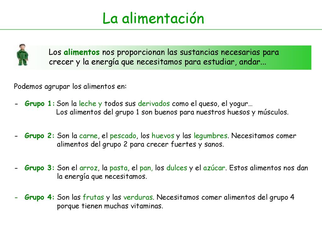 La alimentación Los alimentos nos proporcionan las sustancias necesarias para crecer y la energía que necesitamos para estudiar, andar...