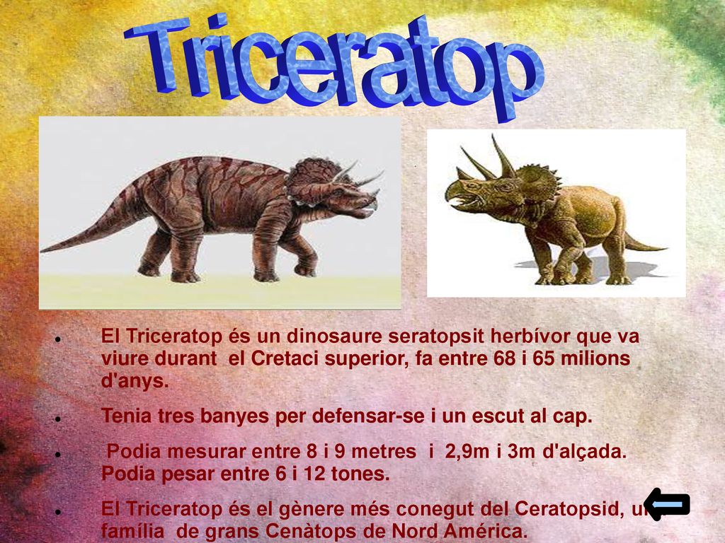 Triceratop El Triceratop és un dinosaure seratopsit herbívor que va viure durant el Cretaci superior, fa entre 68 i 65 milions d anys.
