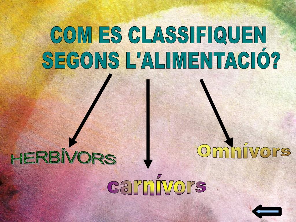 COM ES CLASSIFIQUEN SEGONS L ALIMENTACIÓ COM ES CLASSIFIQUEN. SEGONS L ALIMENTACIÓ Omnívors. HERBÍVORS.