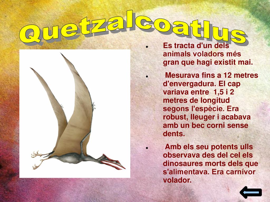 Quetzalcoatlus Es tracta d un dels animals voladors més gran que hagi existit mai.