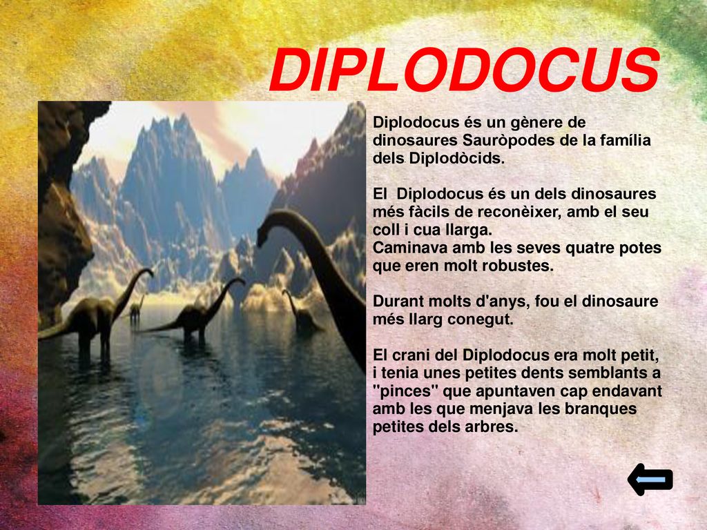 DIPLODOCUS Diplodocus és un gènere de dinosaures Sauròpodes de la família dels Diplodòcids.