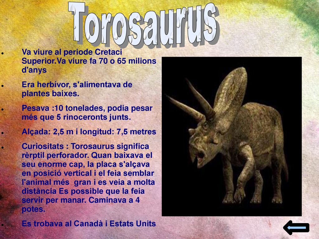Torosaurus Va viure al periode Cretaci Superior.Va viure fa 70 o 65 milions d anys. Era herbívor, s alimentava de plantes baixes.