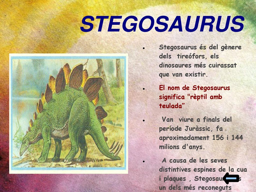 STEGOSAURUS Stegosaurus és del gènere dels tireófors, els dinosaures més cuirassat que van existir.