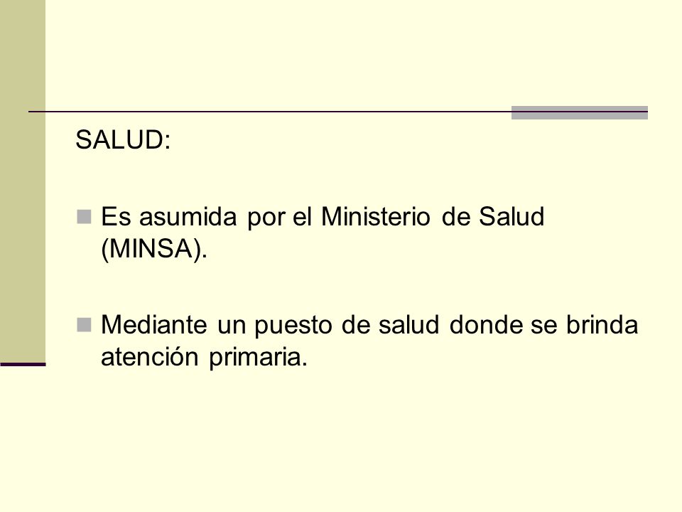 SALUD: Es asumida por el Ministerio de Salud (MINSA).
