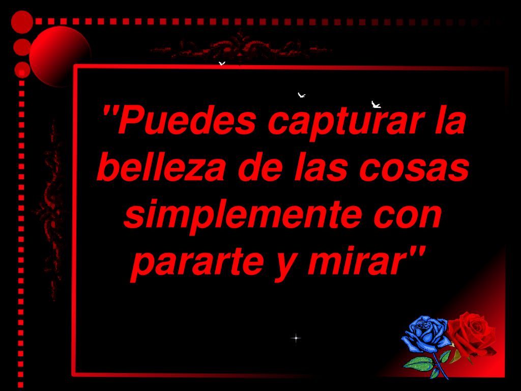 Puedes capturar la belleza de las cosas simplemente con pararte y mirar