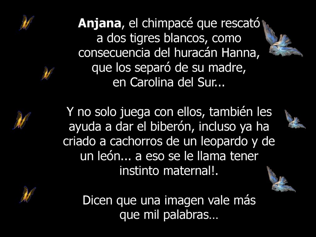 que los separó de su madre, en Carolina del Sur...