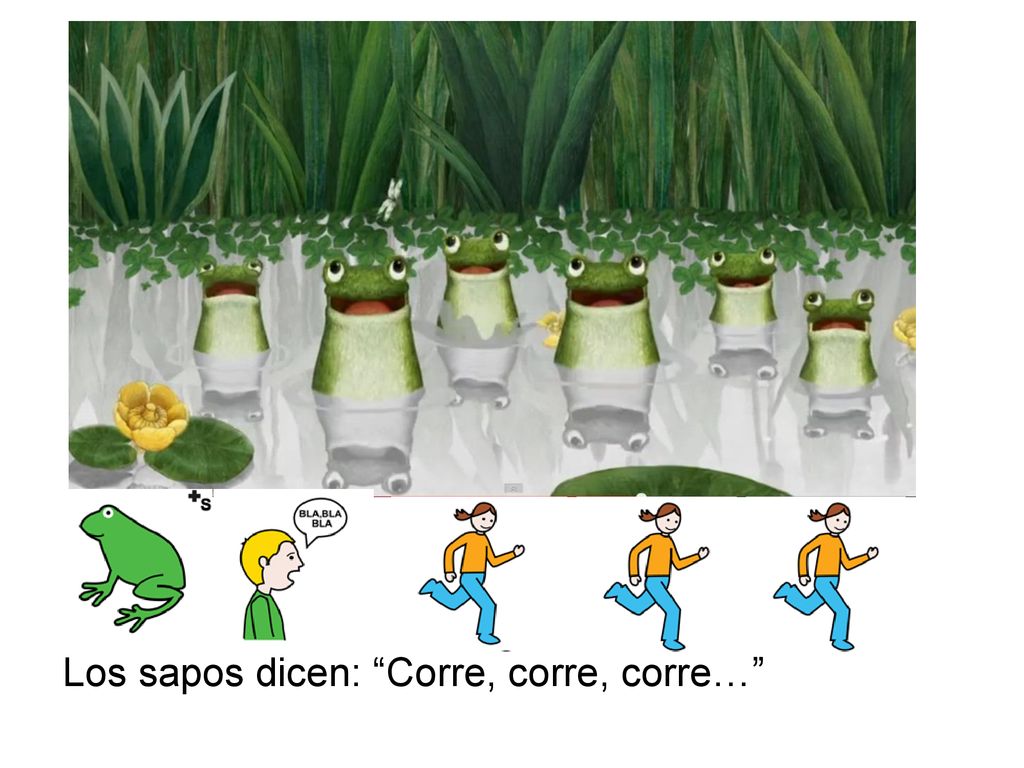 Los sapos dicen: Corre, corre, corre…