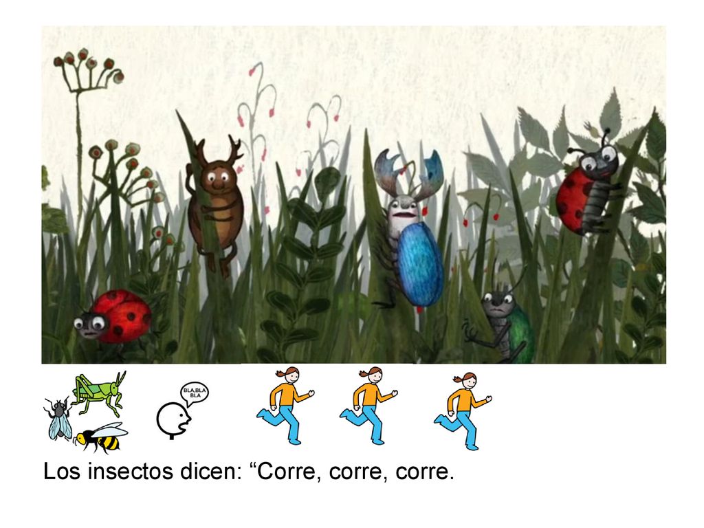 Los insectos dicen: Corre, corre, corre.