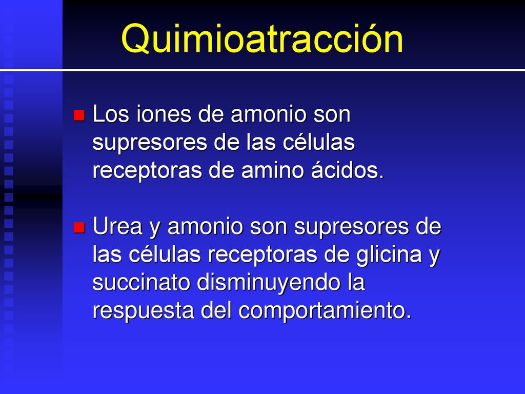 Quimioatracción Los iones de amonio son supresores de las células receptoras de amino ácidos.