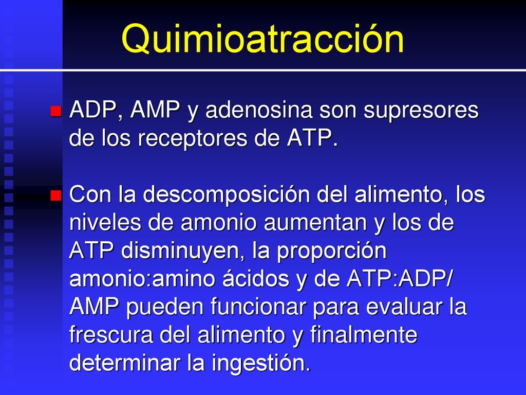 Quimioatracción ADP, AMP y adenosina son supresores de los receptores de ATP.