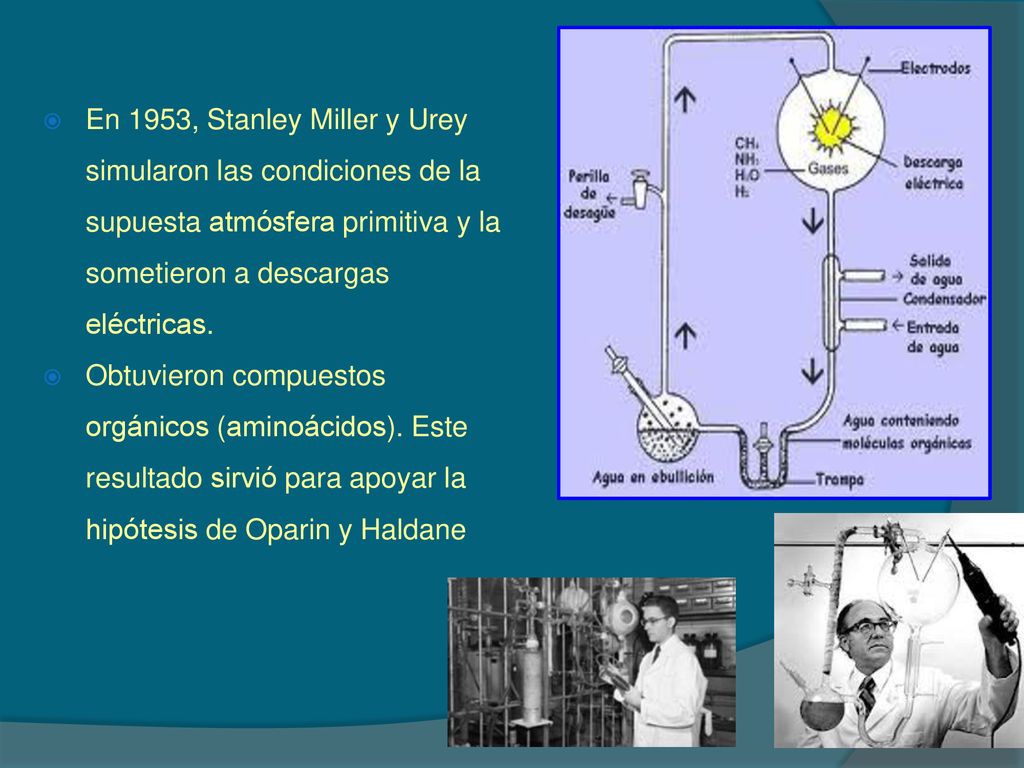 En 1953, Stanley Miller y Urey simularon las condiciones de la supuesta atmósfera primitiva y la sometieron a descargas eléctricas.