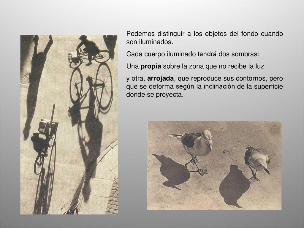 Podemos distinguir a los objetos del fondo cuando son iluminados.