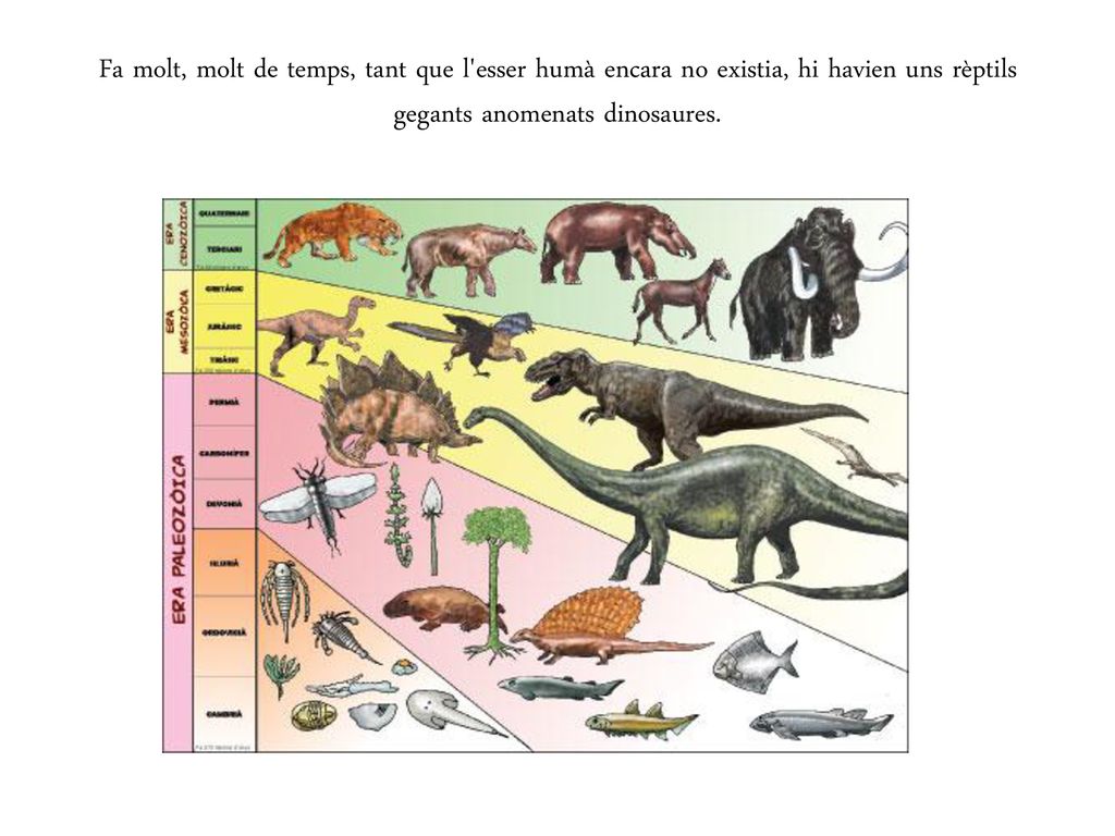 Fa molt, molt de temps, tant que l esser humà encara no existia, hi havien uns rèptils gegants anomenats dinosaures.