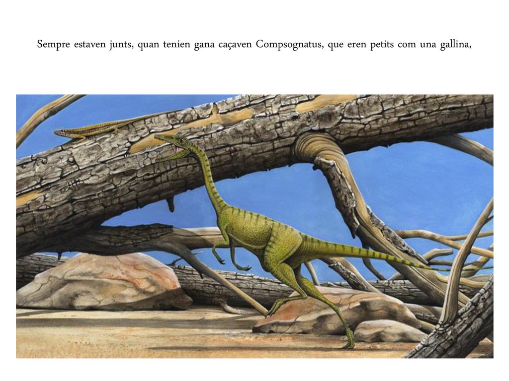 Sempre estaven junts, quan tenien gana caçaven Compsognatus, que eren petits com una gallina,