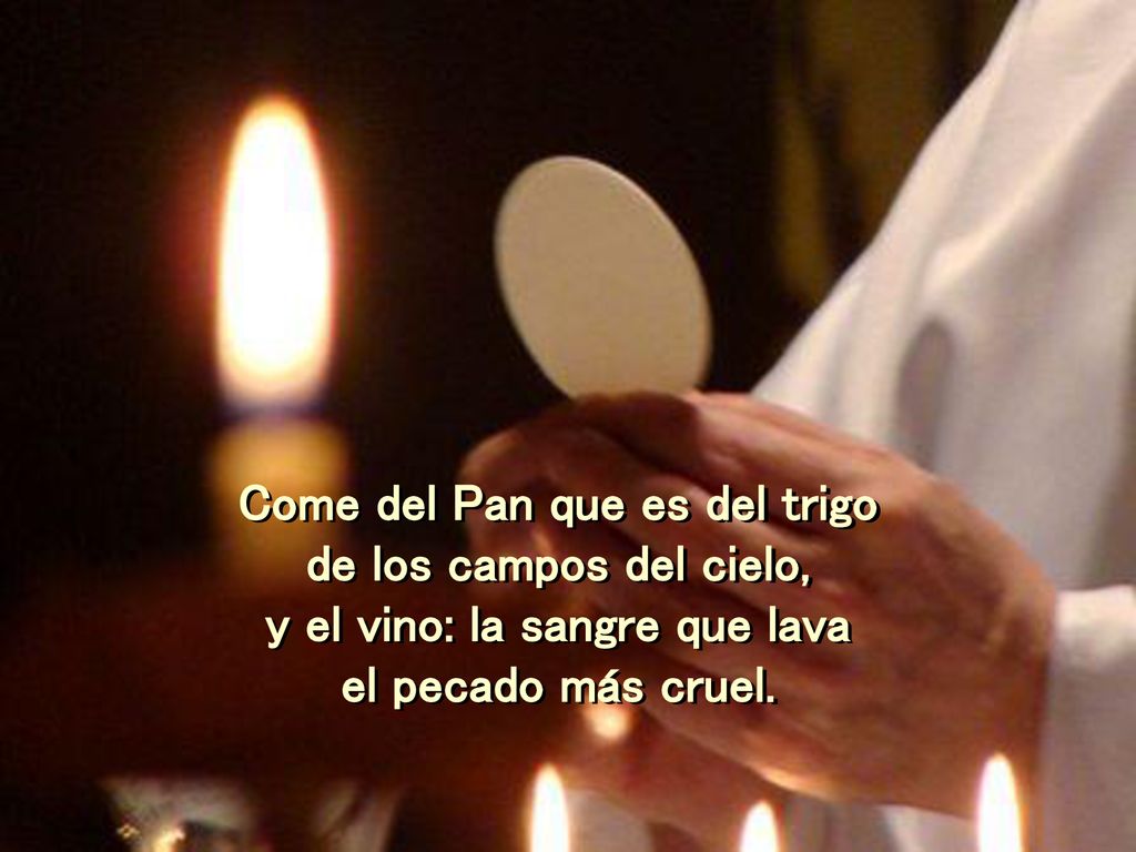 Come del Pan que es del trigo y el vino: la sangre que lava