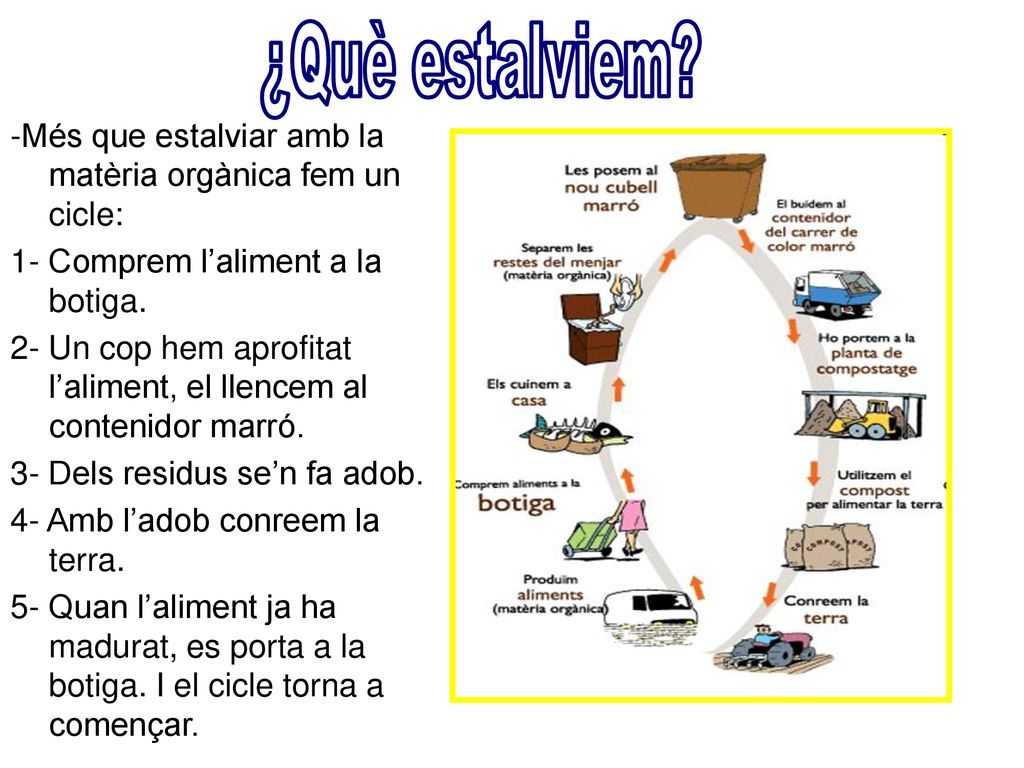 ¿Què estalviem -Més que estalviar amb la matèria orgànica fem un cicle: 1- Comprem l’aliment a la botiga.