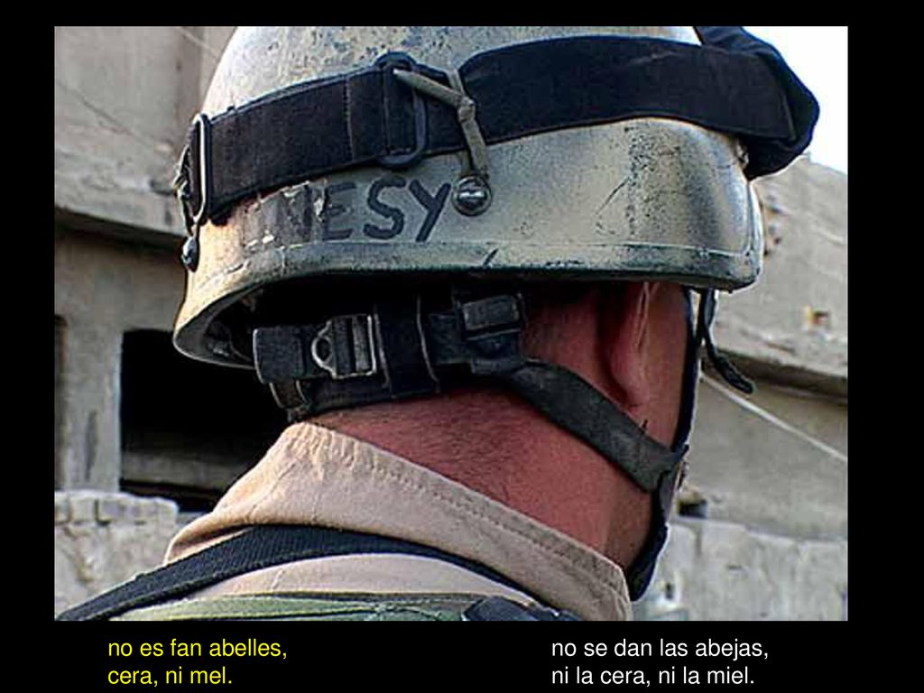 no es fan abelles, cera, ni mel. no se dan las abejas, ni la cera, ni la miel.