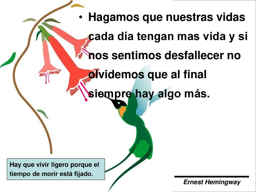 Hagamos que nuestras vidas cada día tengan mas vida y si nos sentimos desfallecer no olvidemos que al final siempre hay algo más.
