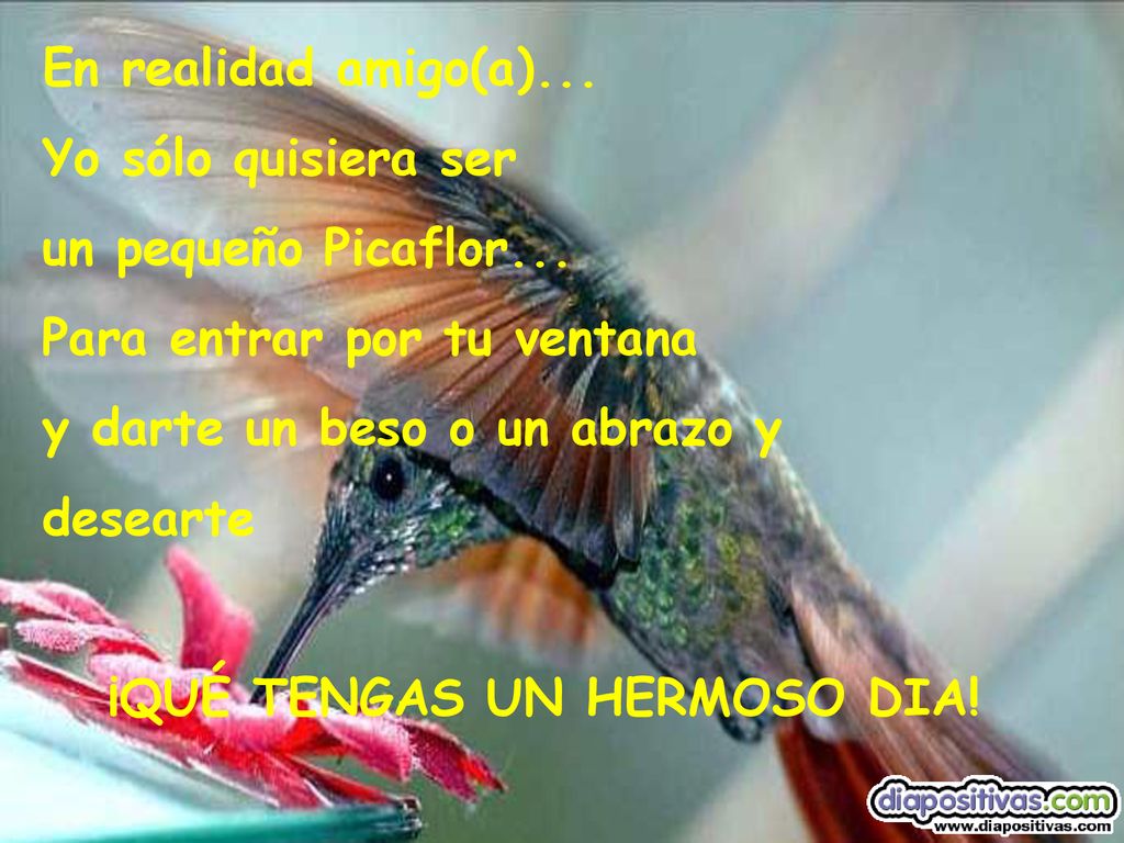 En realidad amigo(a)... Yo sólo quisiera ser. un pequeño Picaflor... Para entrar por tu ventana. y darte un beso o un abrazo y.