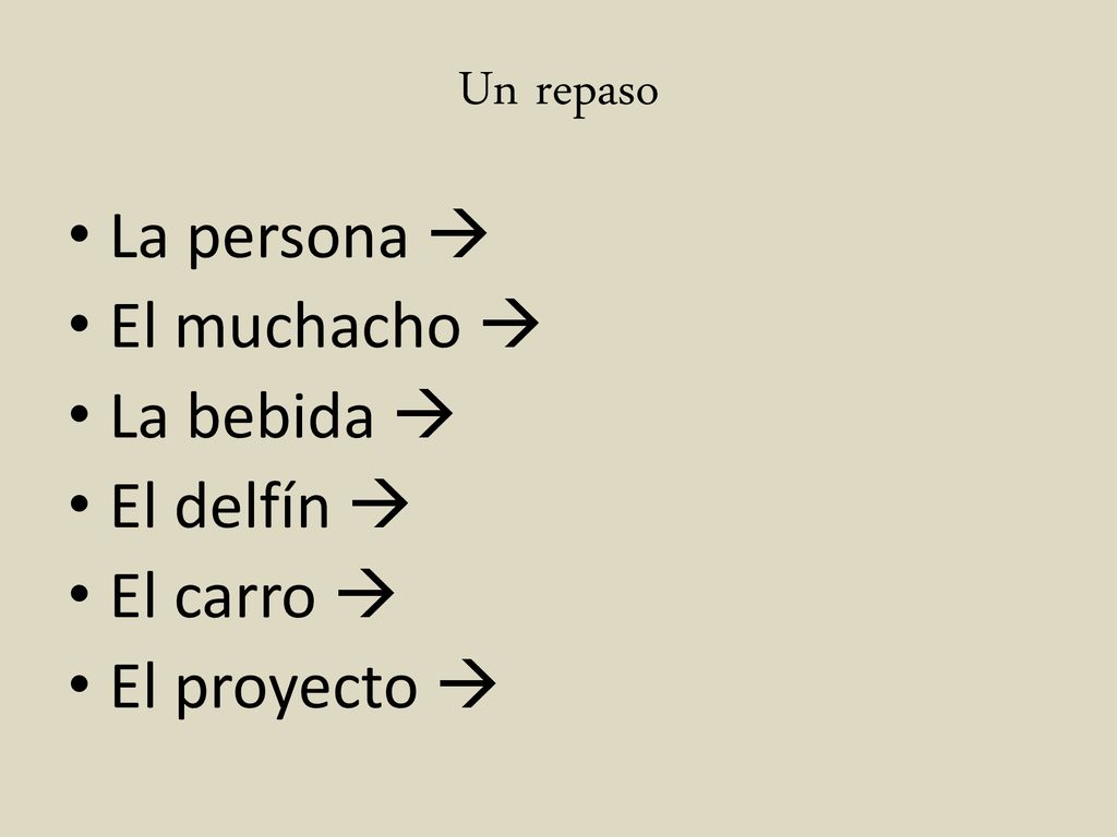 Un repaso La persona  El muchacho  La bebida  El delfín  El carro  El proyecto 